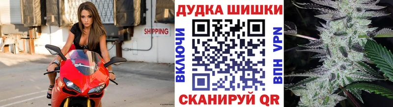 Бошки Шишки план Лабинск